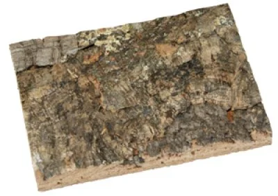 Natur Korkbaggrund 60 x 30 cm